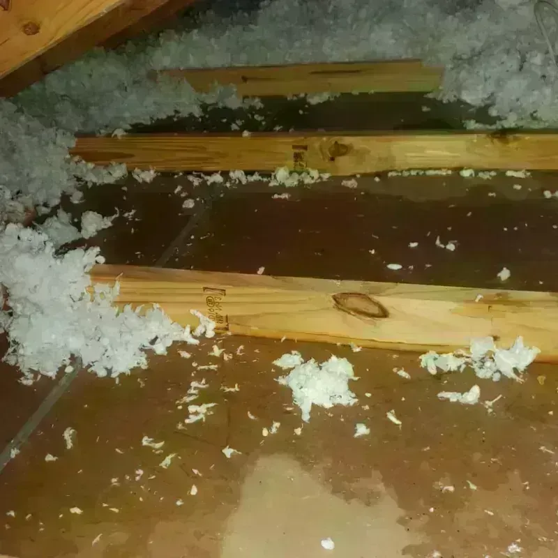 Attic Water Damage in Loma, CO