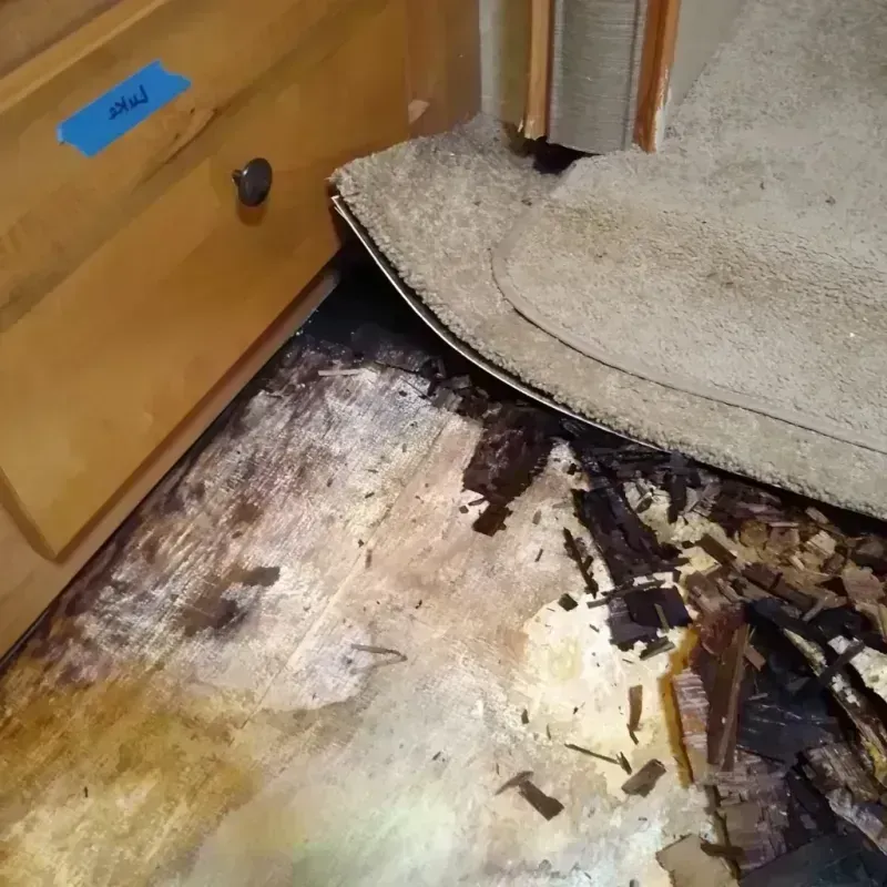 Wood Floor Water Damage in Loma, CO